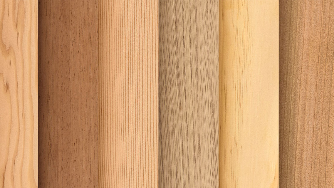 marvin wood window and door options